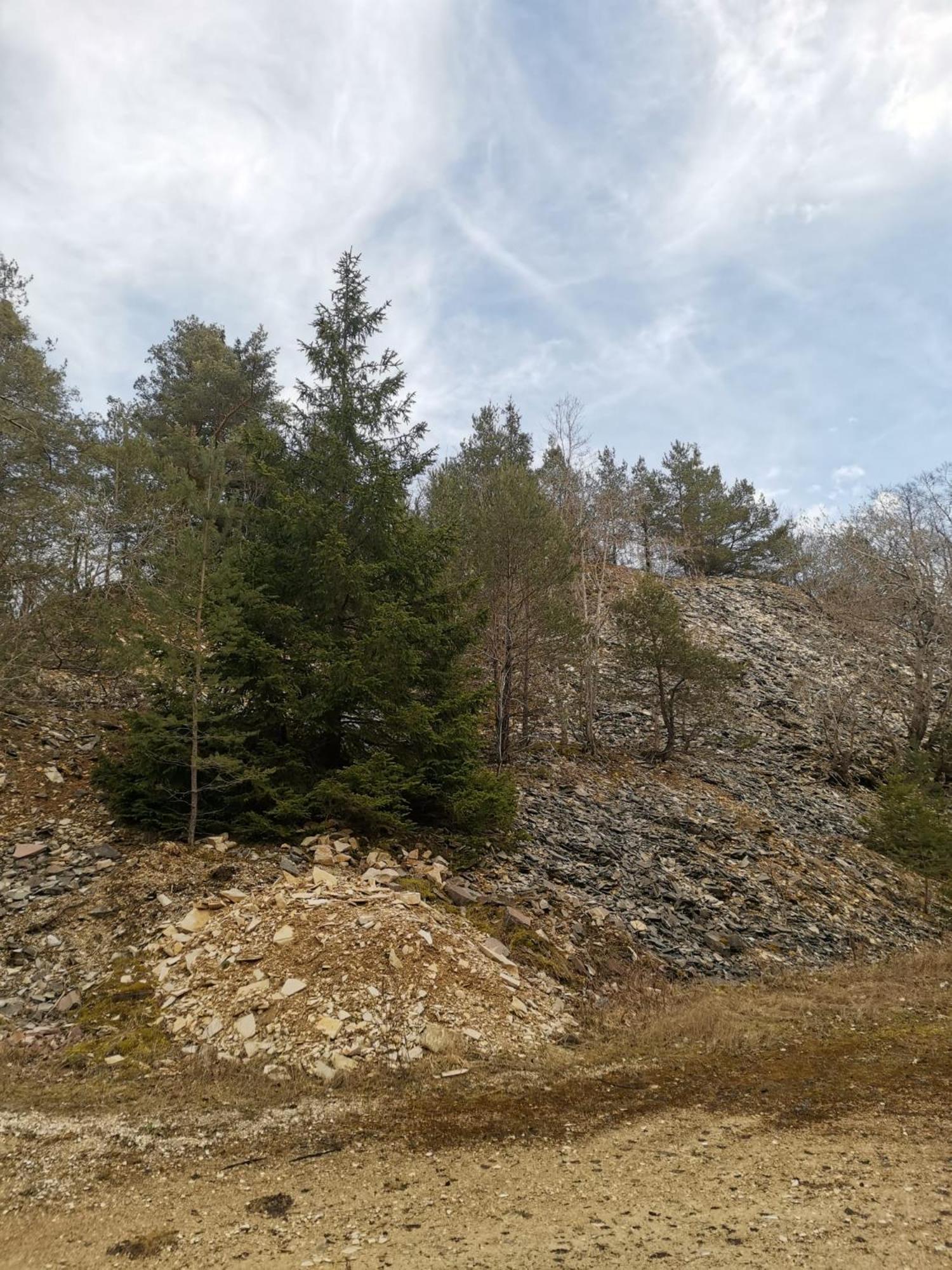 Haus Zum Talblick Apartment Solnhofen ภายนอก รูปภาพ